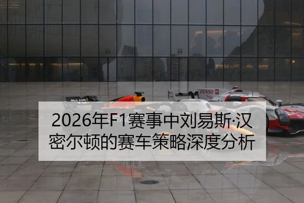 nian-sai-shi-zhong-liu-yi-si-han-mi-er-dun-de-sai-che-ce-lve-shen-du-fen-xi-2-228.jpg