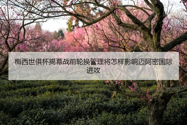 mei-xi-shi-ju-bei-jie-mu-zhan-qian-lun-huan-guan-li-jiang-zen-yang-ying-xiang-mai-a-mi-guo-ji-jin-gong-1-857.jpg