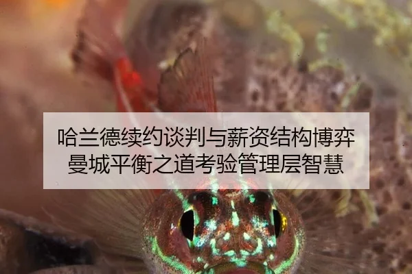 ha-lan-de-xu-yue-tan-pan-yu-xin-zi-jie-gou-bo-yi-man-cheng-ping-heng-zhi-dao-kao-yan-guan-li-ceng-zhi-hui-2-376.jpg