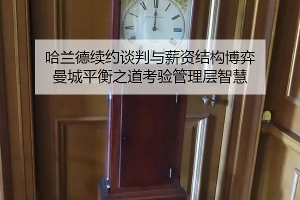 ha-lan-de-xu-yue-tan-pan-yu-xin-zi-jie-gou-bo-yi-man-cheng-ping-heng-zhi-dao-kao-yan-guan-li-ceng-zhi-hui-3-586.jpg