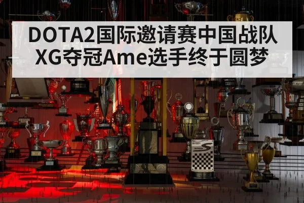 DOTA2国际邀请赛中国战队XG夺冠Ame选手终于圆梦