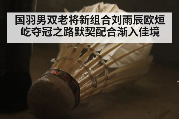 国羽男双老将新组合刘雨辰欧烜屹夺冠之路默契配合渐入佳境